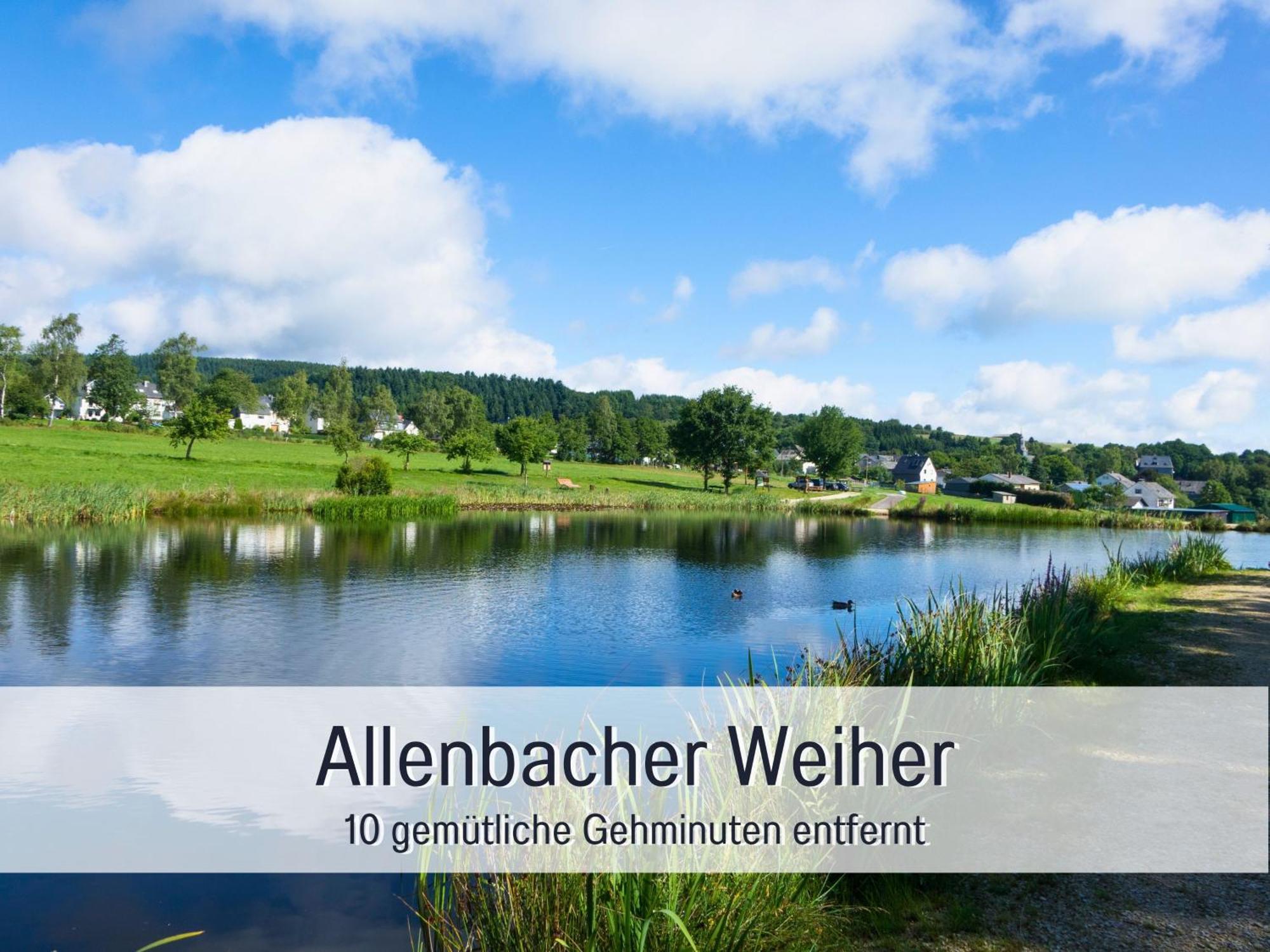Natur-Chalet Zum Nationalpark Marie-Luise Inkl E-Auto Allenbach Ngoại thất bức ảnh