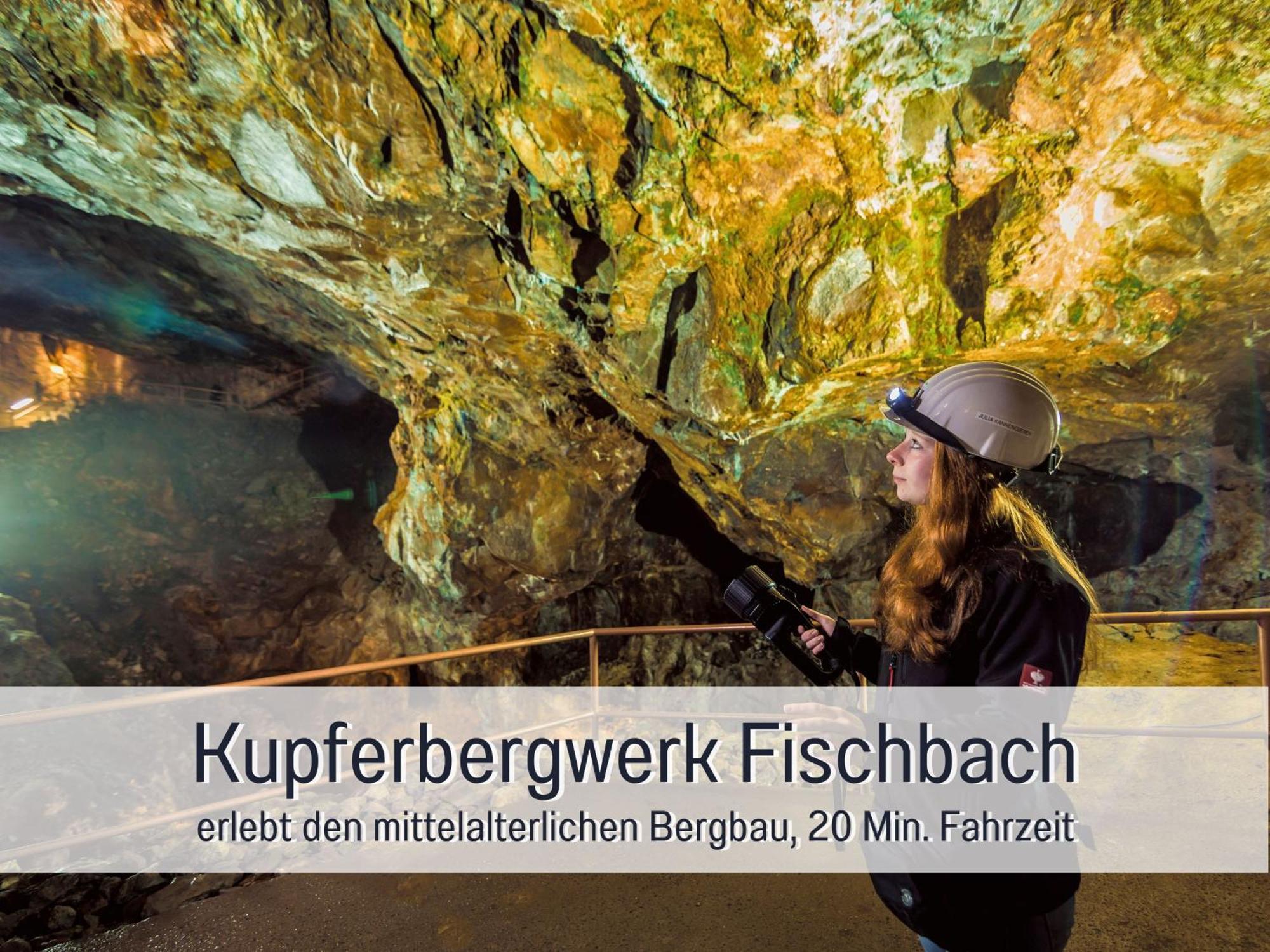 Natur-Chalet Zum Nationalpark Marie-Luise Inkl E-Auto Allenbach Ngoại thất bức ảnh