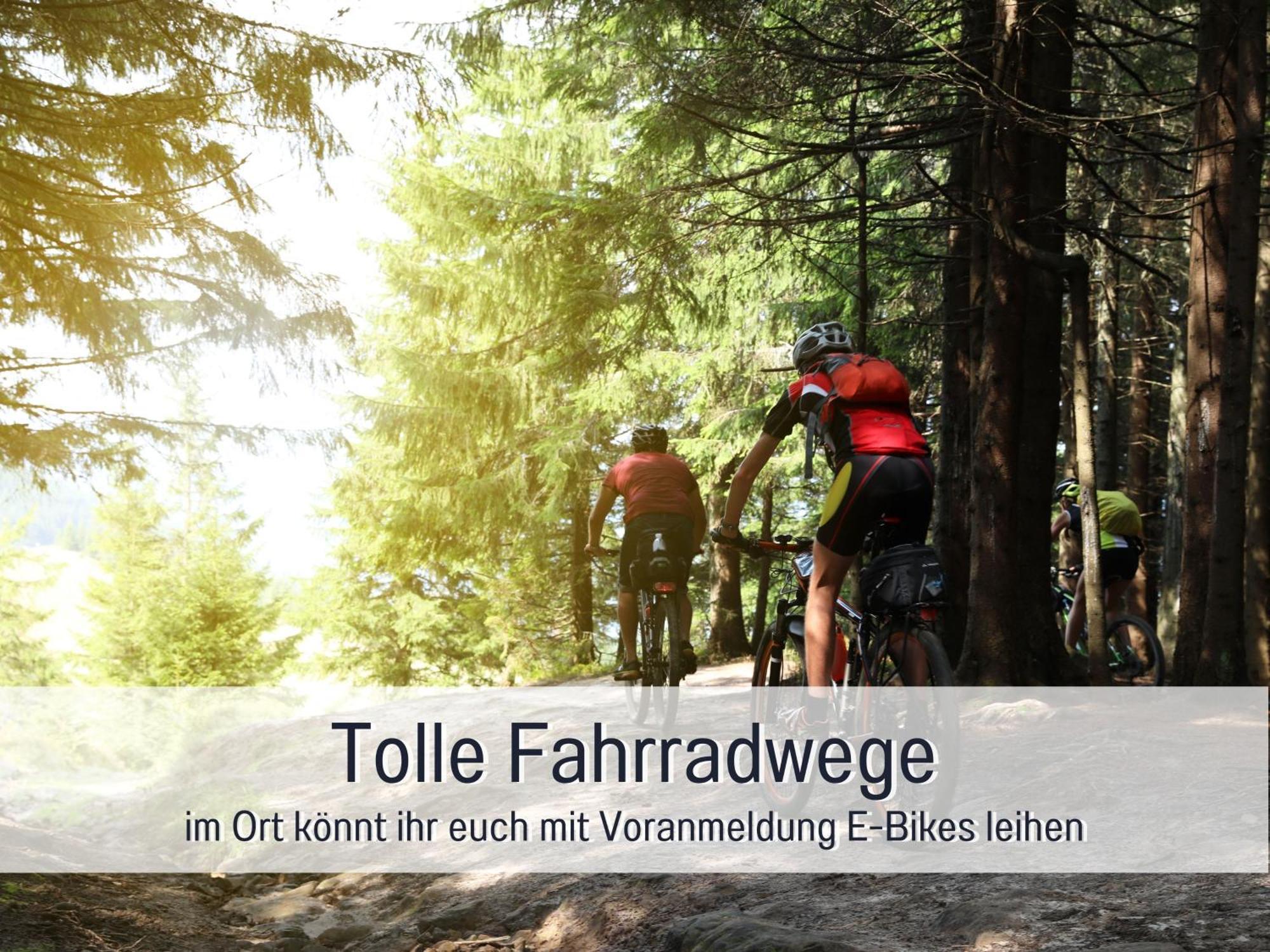 Natur-Chalet Zum Nationalpark Marie-Luise Inkl E-Auto Allenbach Ngoại thất bức ảnh