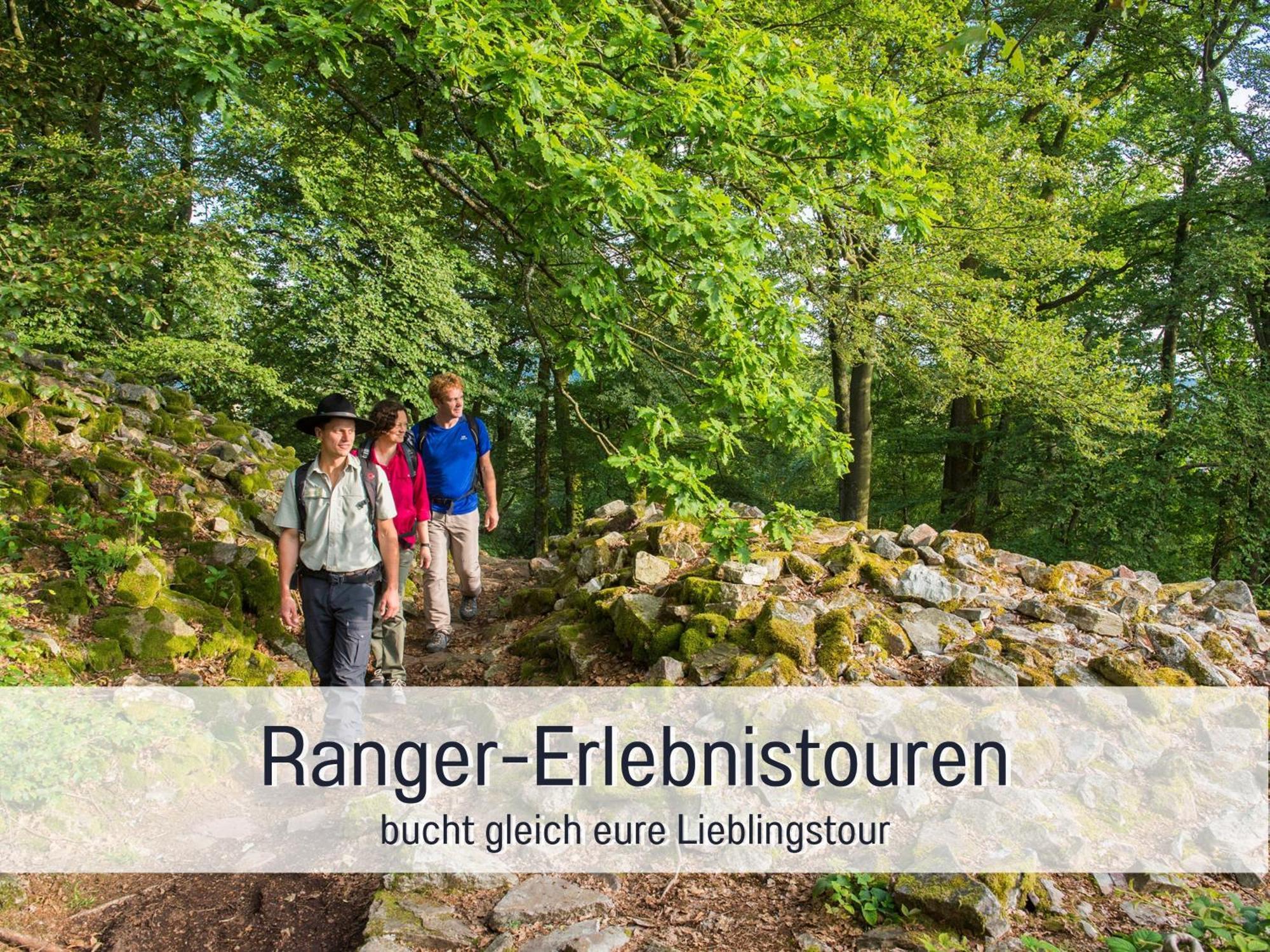 Natur-Chalet Zum Nationalpark Marie-Luise Inkl E-Auto Allenbach Ngoại thất bức ảnh