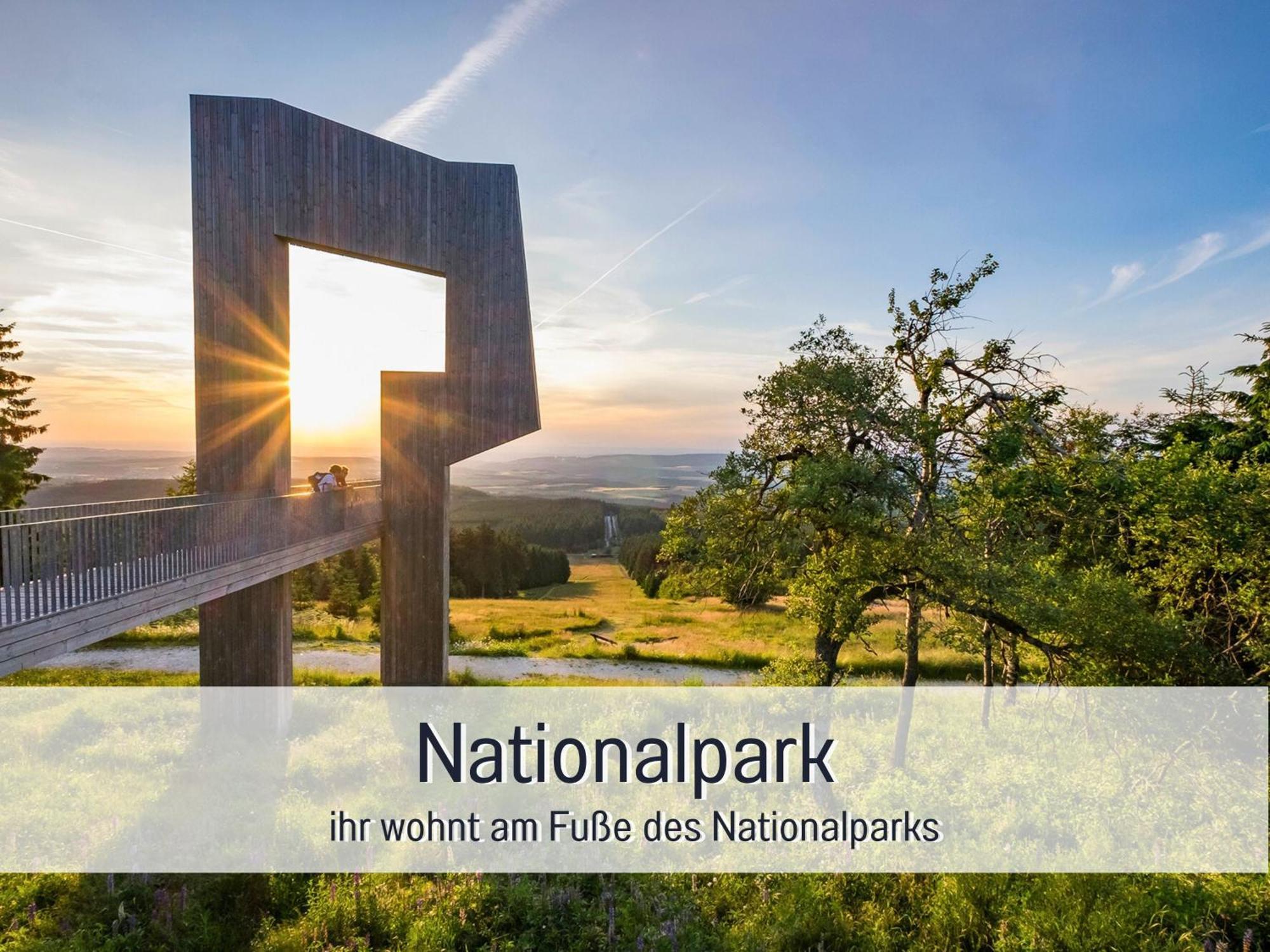 Natur-Chalet Zum Nationalpark Marie-Luise Inkl E-Auto Allenbach Ngoại thất bức ảnh
